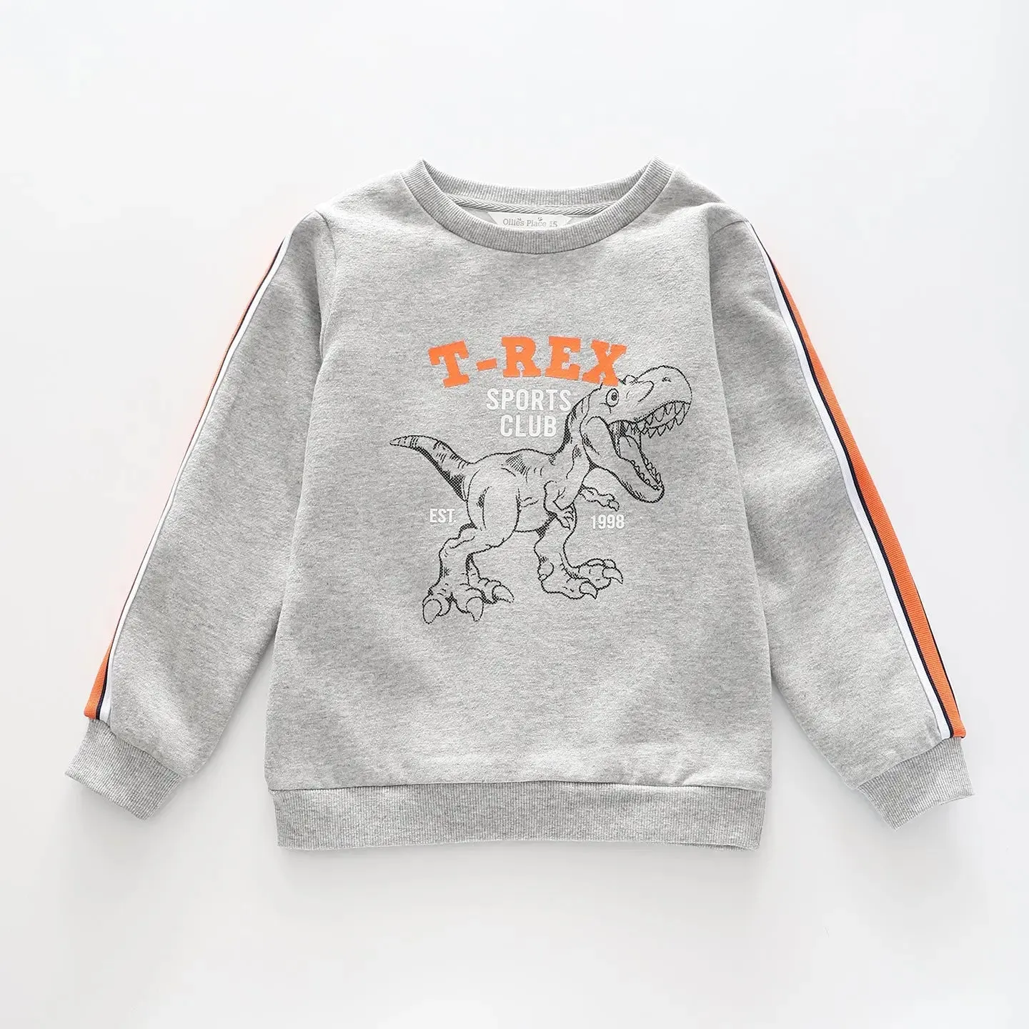 Boys' T-Rex Sports Club Sweat Top